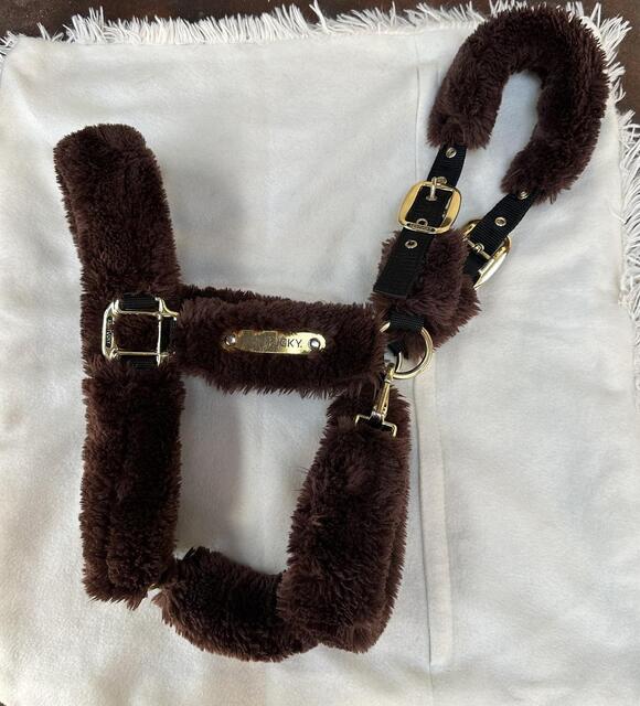 Licol Kentucky mouton marron