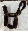 Licol Kentucky mouton marron