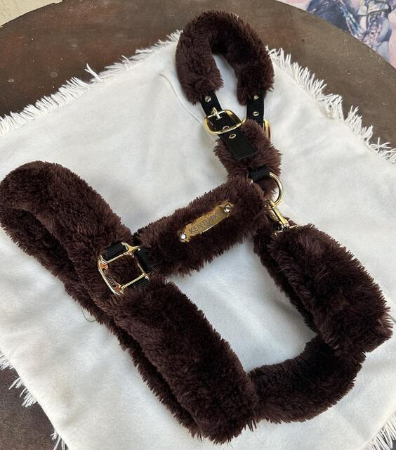 Licol Kentucky mouton marron