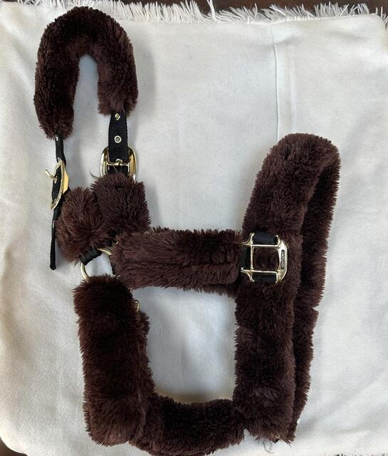 Licol Kentucky mouton marron