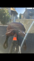 Selle