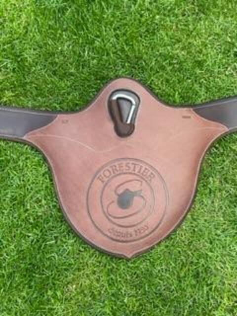 Bavette forestier