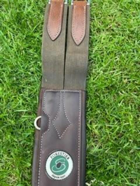 Sangle anatomique forestier