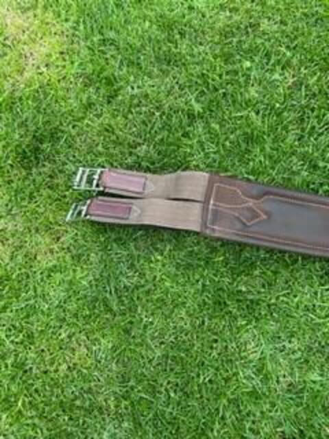 Bavette forestier