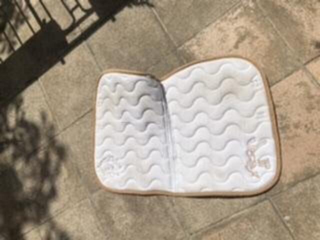 tapis penelope