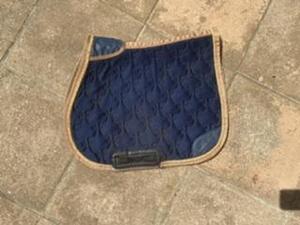 tapis horse pilot