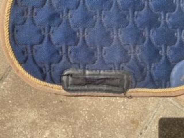 tapis horse pilot