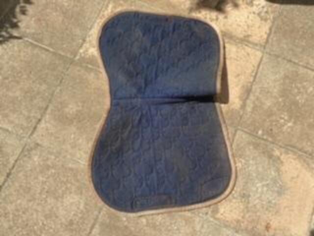 tapis horse pilot