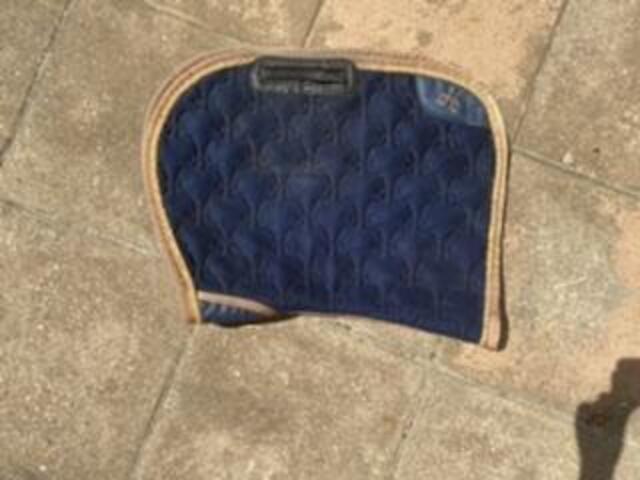 tapis horse pilot
