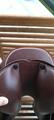 Selle prestige Roma jump