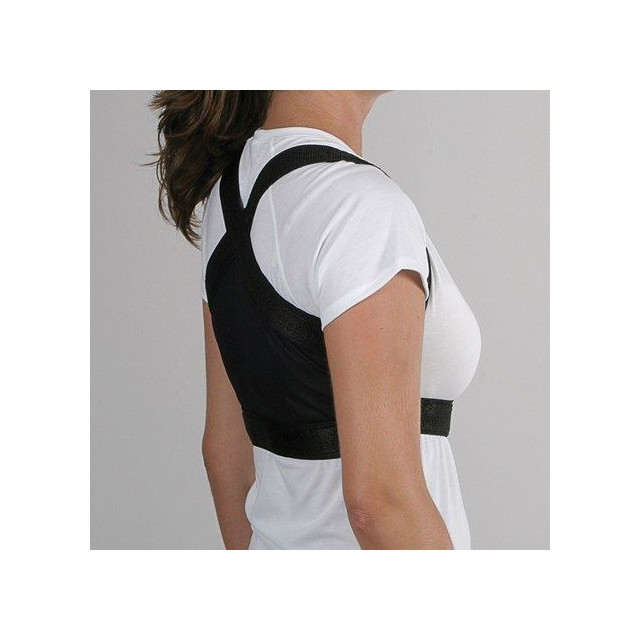 Equifit shoulder back