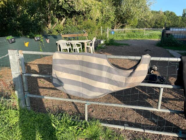 Couvre rein polaire Horseware