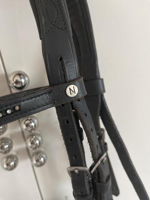 Bridon Norton muserolle vernis
