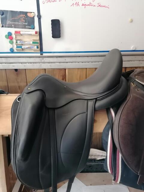 Selle dressage Arion