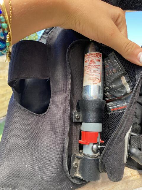 Air bag