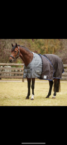 Liner couverture weatherbeeta