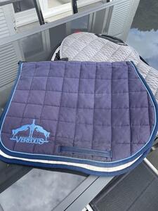 Tapis veredus bleu