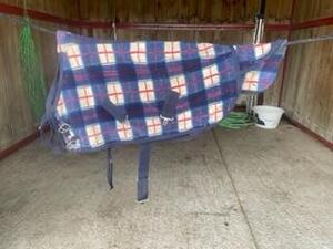 Polaire cheval miniature