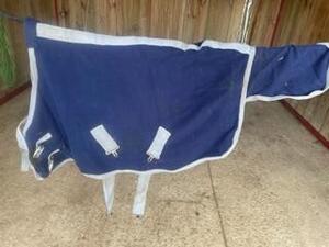 Polaire cheval miniature