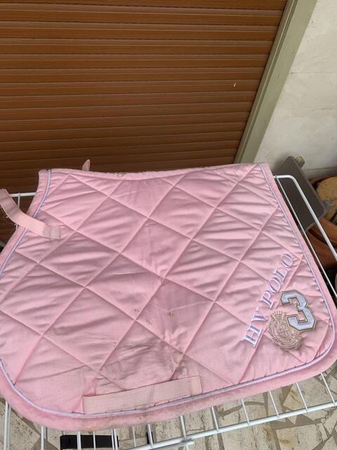 Tapis