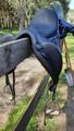 SELLE DRESSAGE