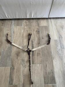 Collier de chasse élastique Time rider