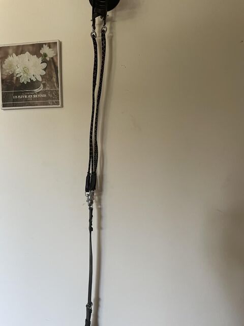 Gogue noir taille cheval