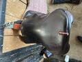 Selle équipe SYNERGIE