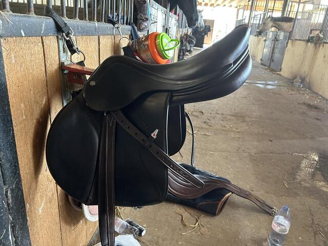 Selle équipe SYNERGIE