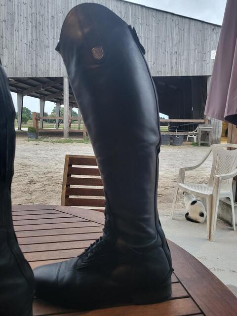 Botte Mountain Horse