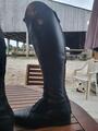 Botte Mountain Horse