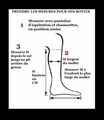 Botte Mountain Horse
