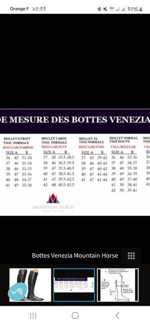 Botte Mountain Horse