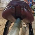 Selle équipe avant garde 17.5