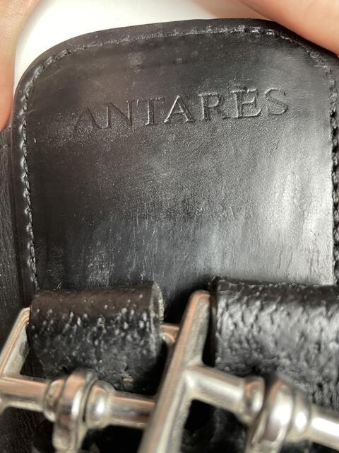 Sangle courte antares
