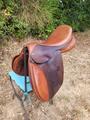 Selle Henri de Rivel, 16'5