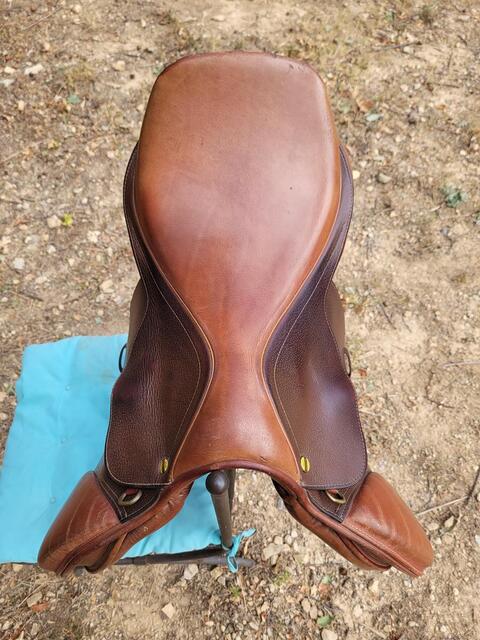 Selle Henri de Rivel, 16'5