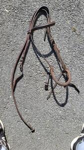 Filet protanner taille cheval