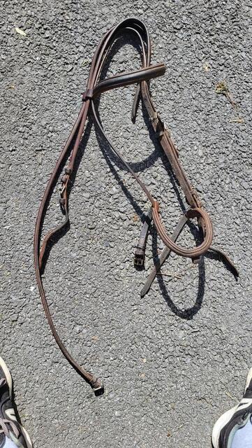 Filet protanner taille cheval