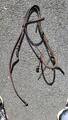 Filet protanner taille cheval