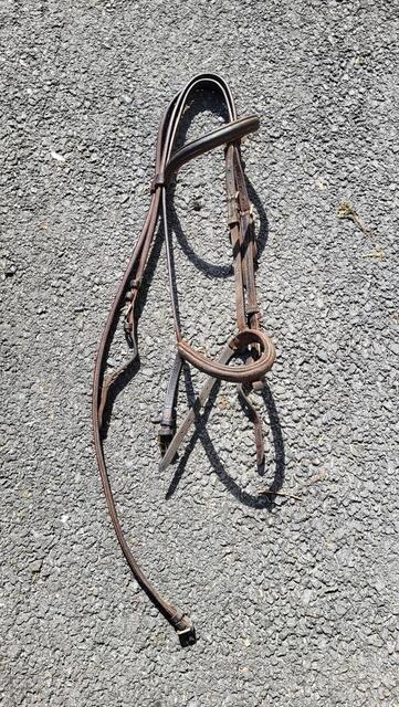 Filet protanner taille cheval