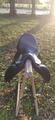 Selle de dressage equipe Emporio 17 pouces