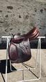 Selle Biarritz S