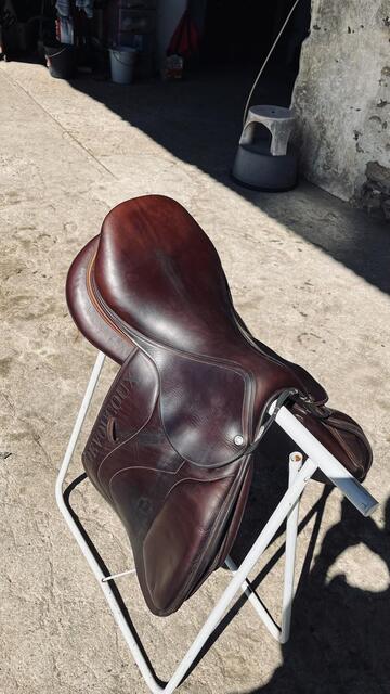 Selle Biarritz S