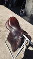 Selle Biarritz S