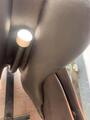 Selle Prestige taille 17 pouces