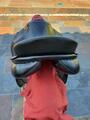 Selle dressage KN