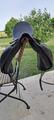 Selle de Dressage Prestige