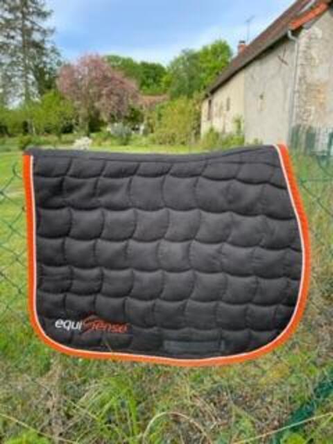 tapis equisense