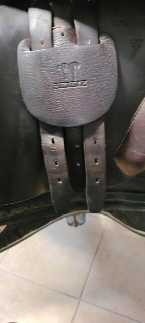 Selle Altaïr